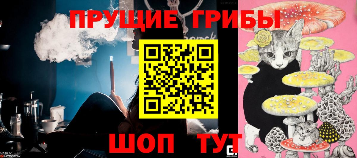 Псилоцибиновые грибы мицелий Ростов Великий