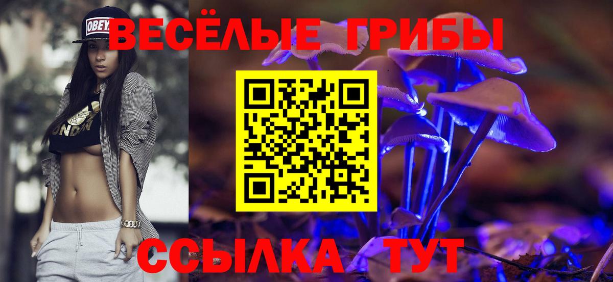Ростов Великий  Галлюциногенные грибы MAGIC MUSHROOMS  Вход с VPN 